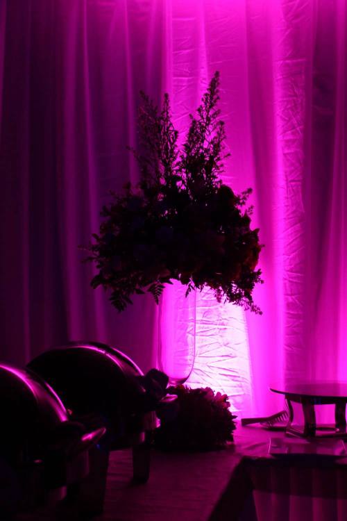 Fiesta Gabriela – Club David